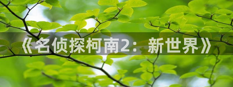里番动漫在线看：《名侦探柯南2：新世界》